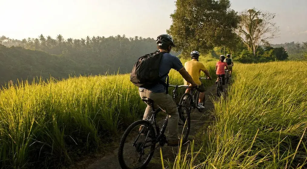Cycling in Ubud [Adult]