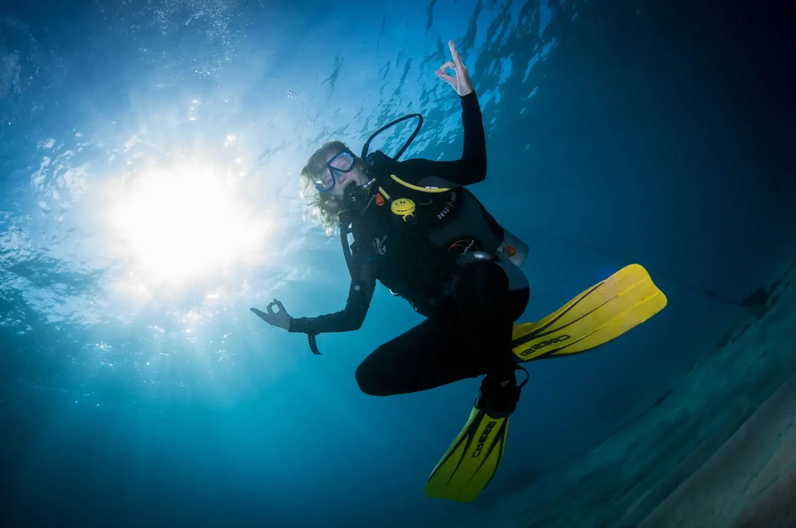 Day Trip Diving 2 dives [Certified Divers]
