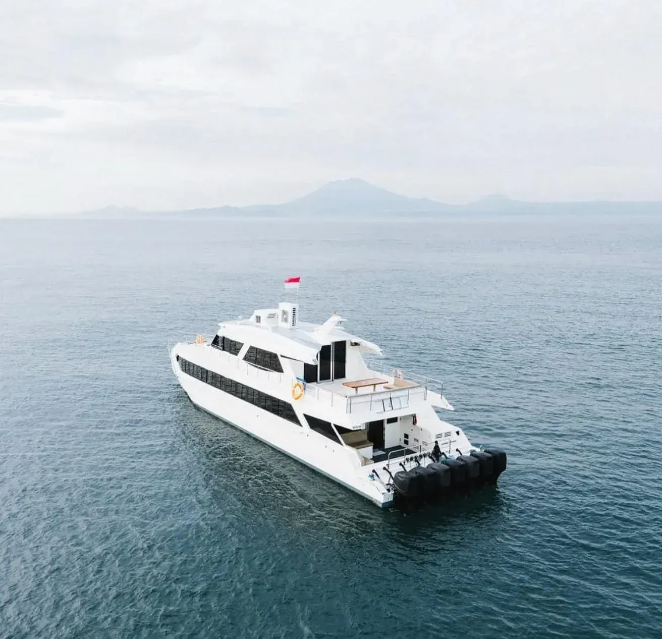 Fast Large Catamaran [8h service]