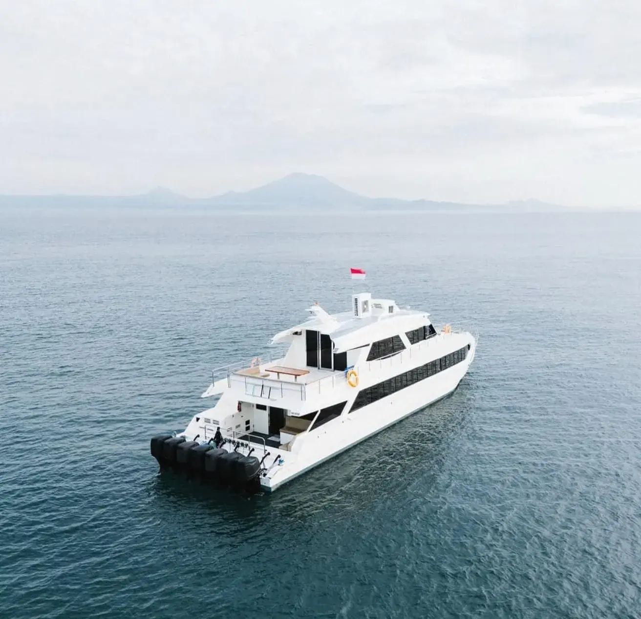 Fast Large Catamaran [4h service]