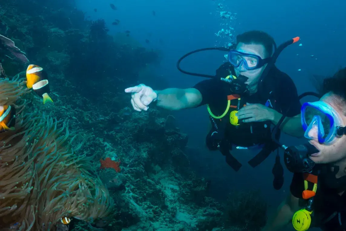 Fun Dive + Aristocat Cruise Adult