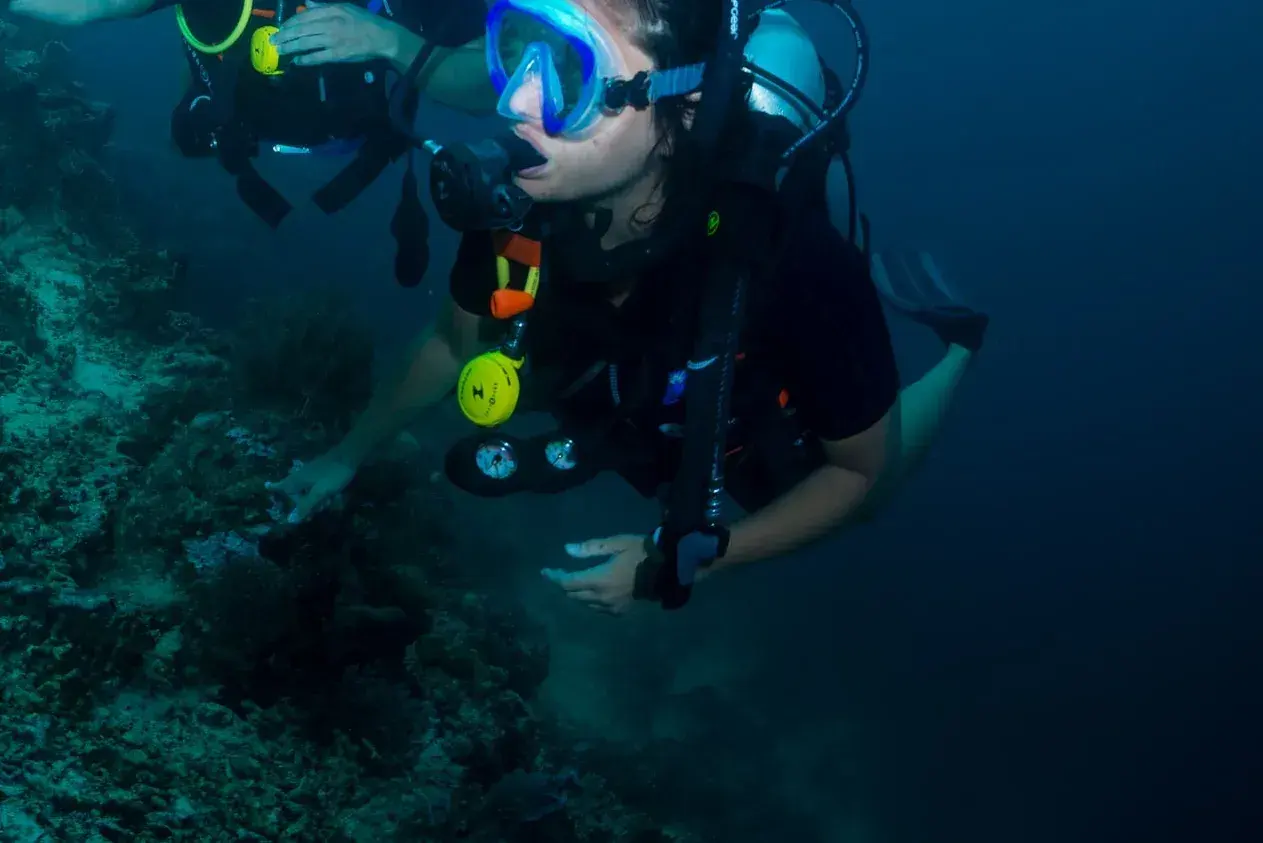 Fun Dive + Lembongan Day Cruise Adult