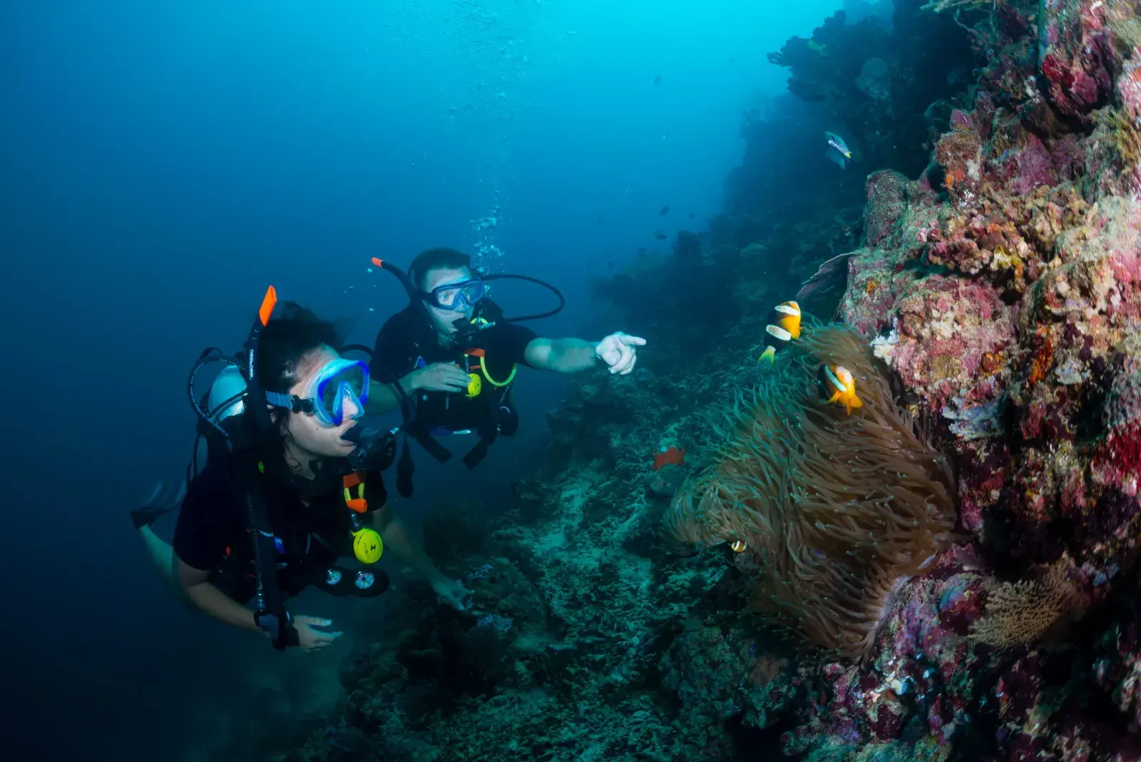 Fun Dive + Lembongan Day Cruise Child