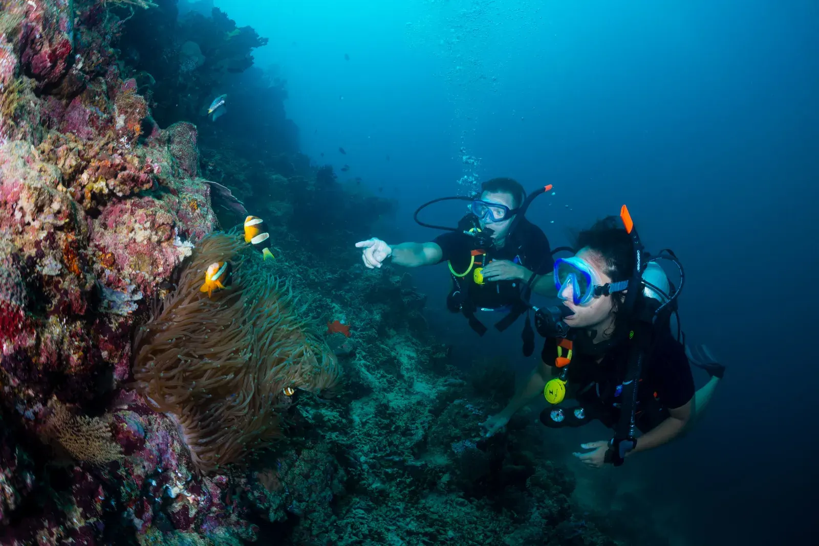 Fun Dive + Lembongan Day Cruise Adult