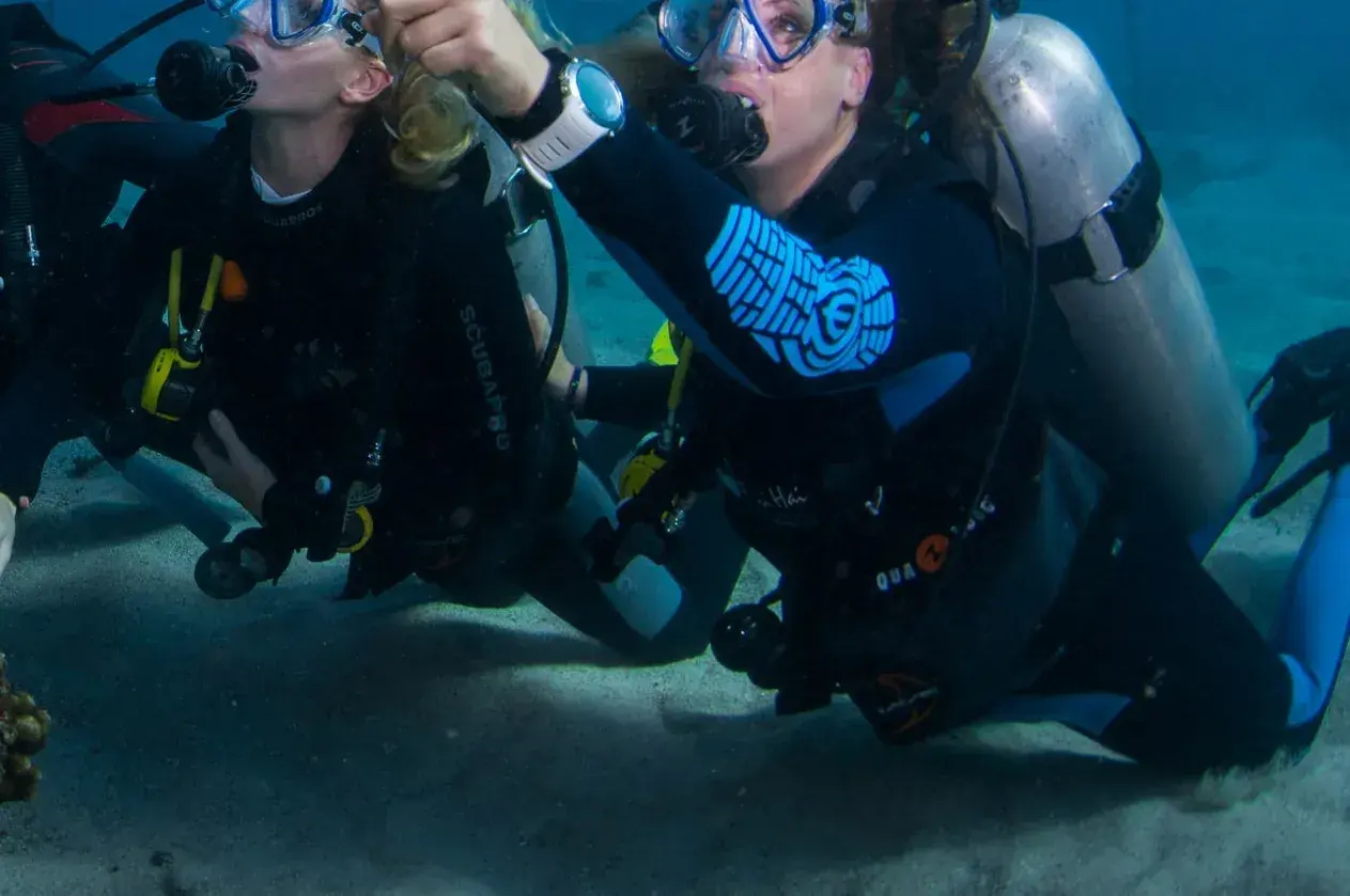 Scuba Diving + Aristocat Cruise Child