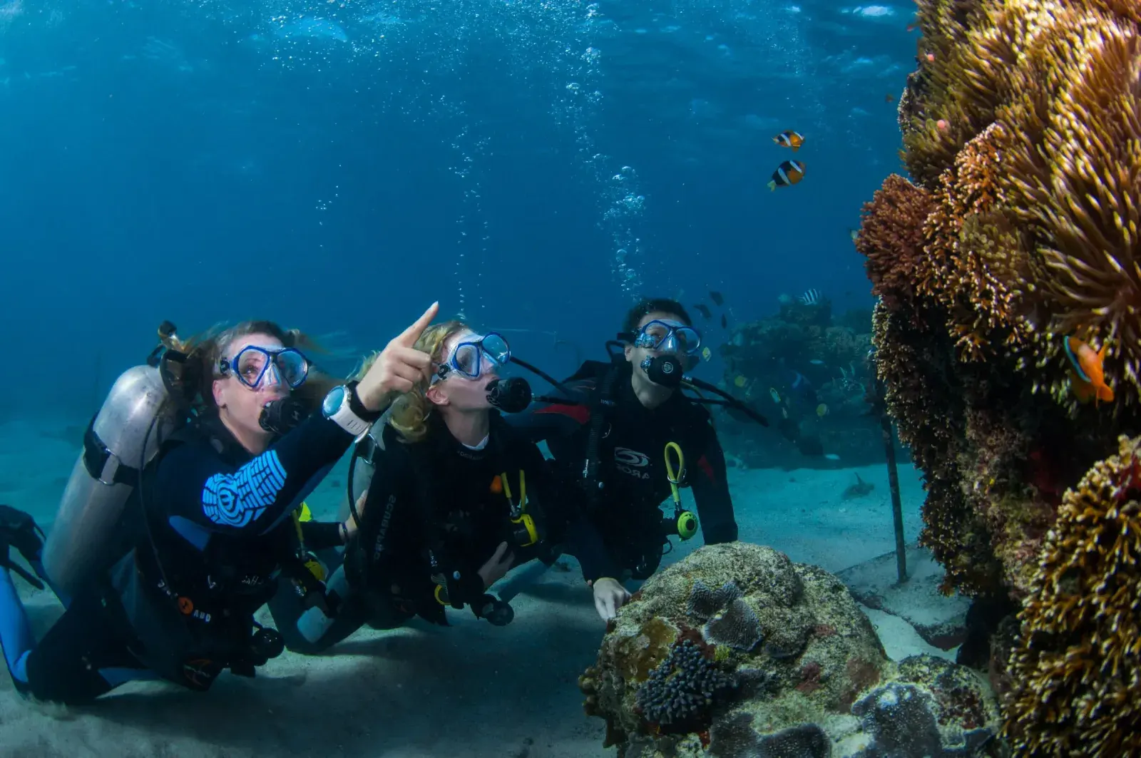 Scuba Diving + Lembongan Day Cruise Adult
