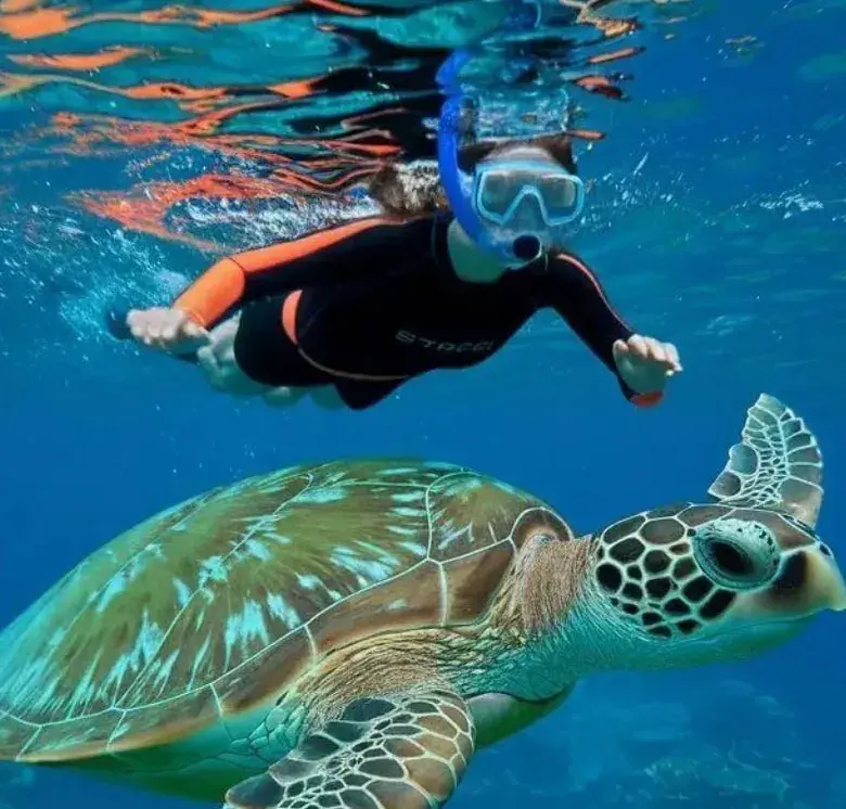 Snorkelling