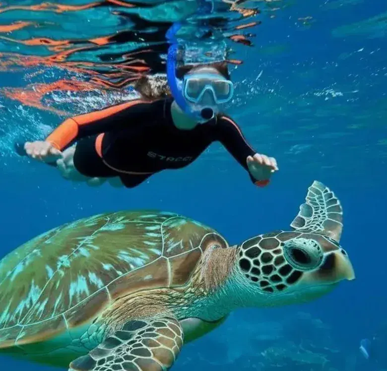 Snorkelling