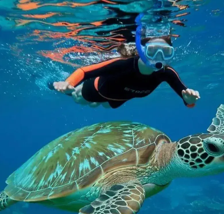 Snorkelling