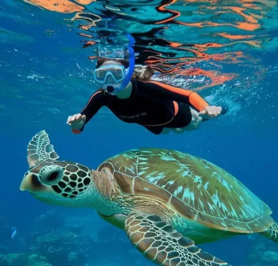 Snorkelling