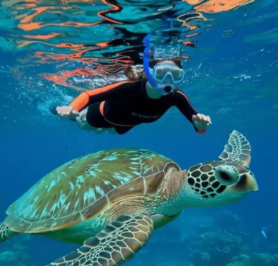 Snorkelling