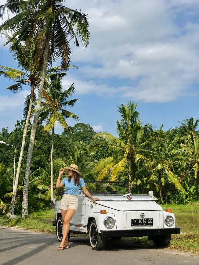 Volkswagen Full Day Tour