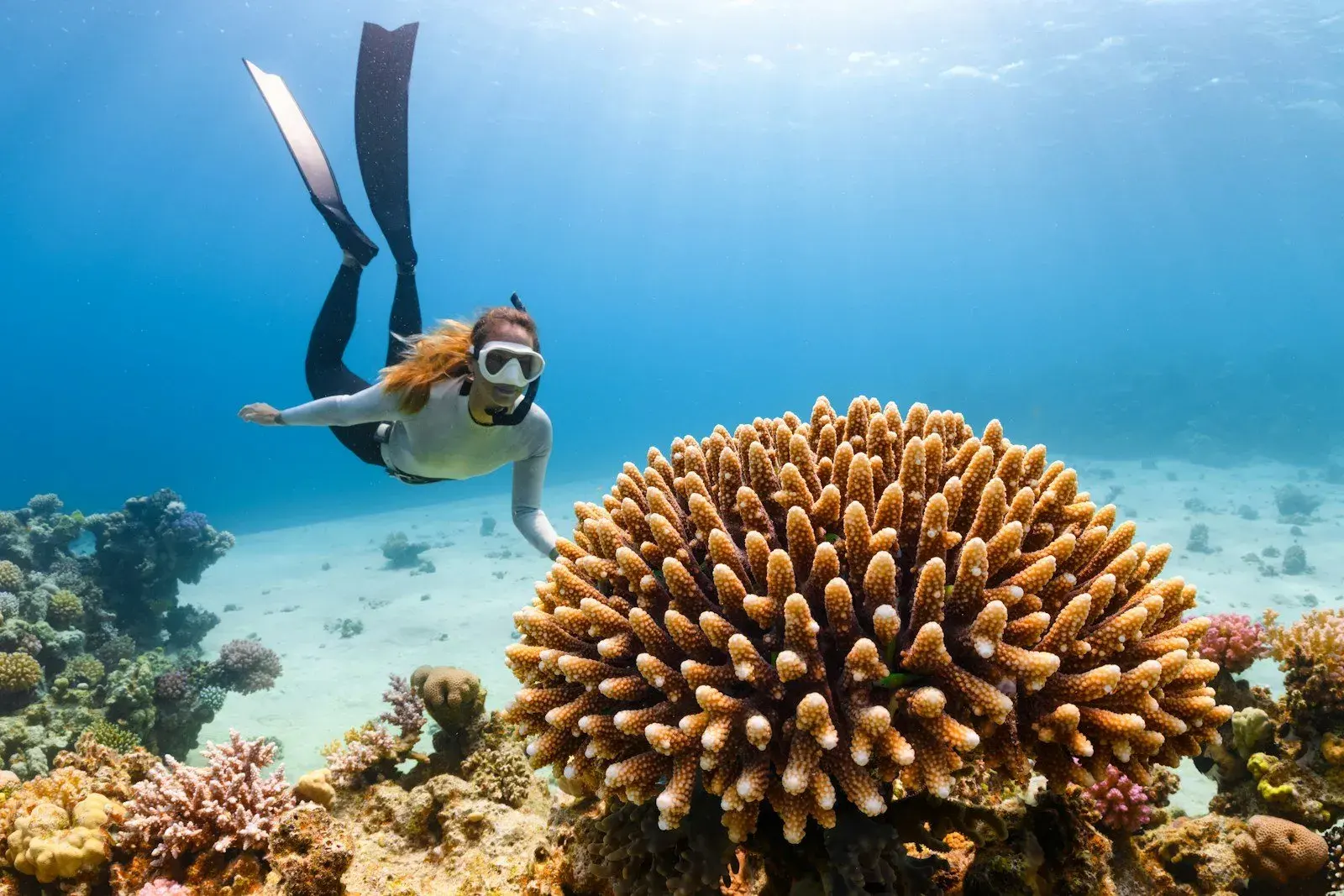 Aquanuts + Lembongan Day Cruise Adult