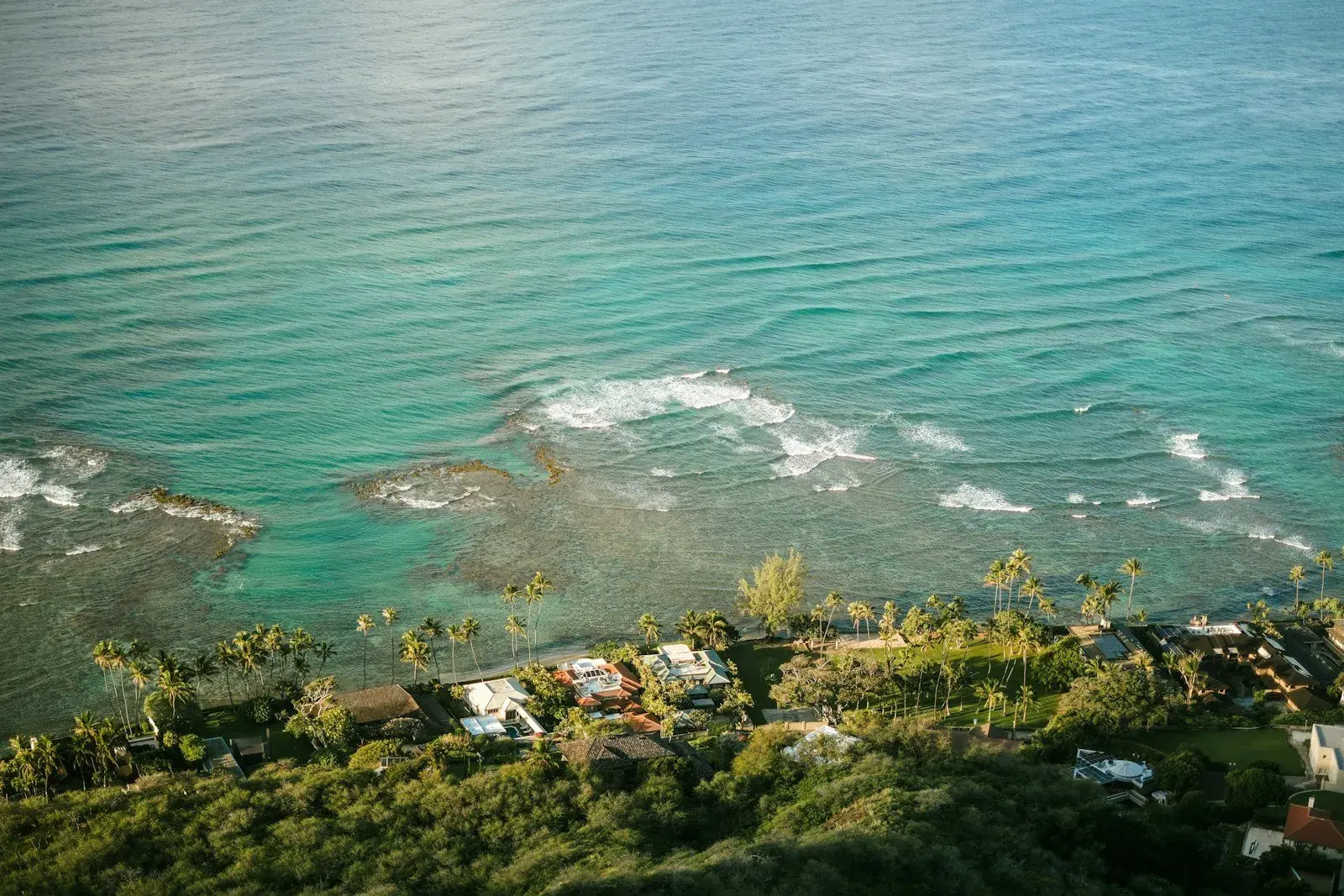 Heli Tour [100min service]