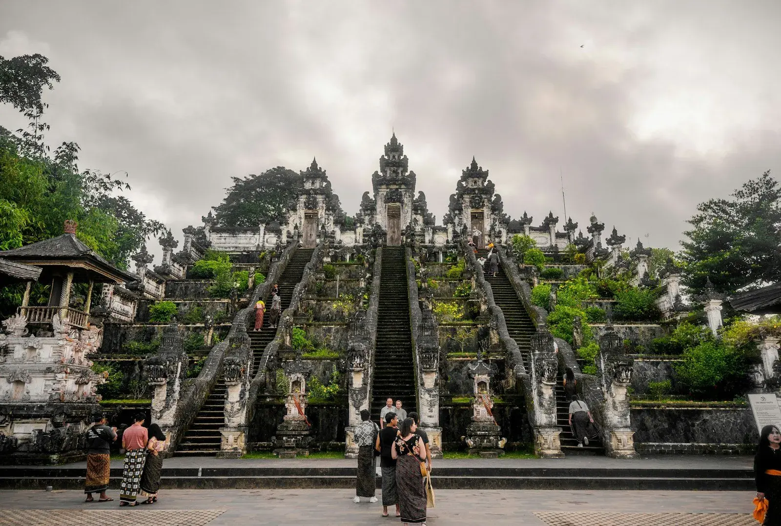 Half Day Tour [5h service]