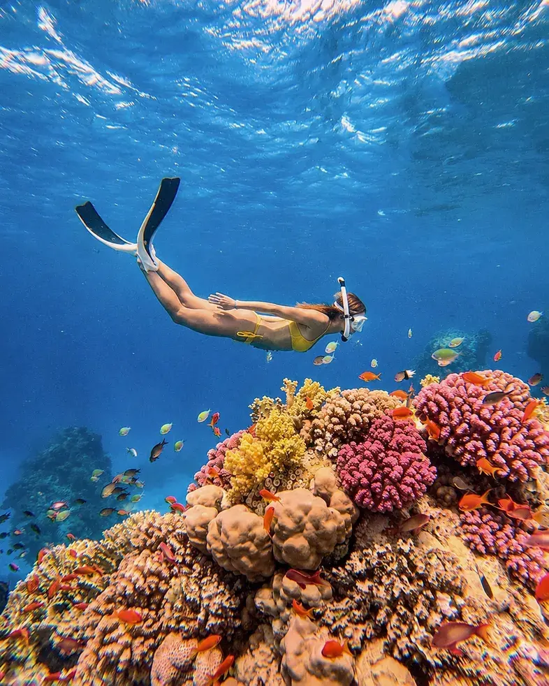 Penida West Tour + Snorkelling