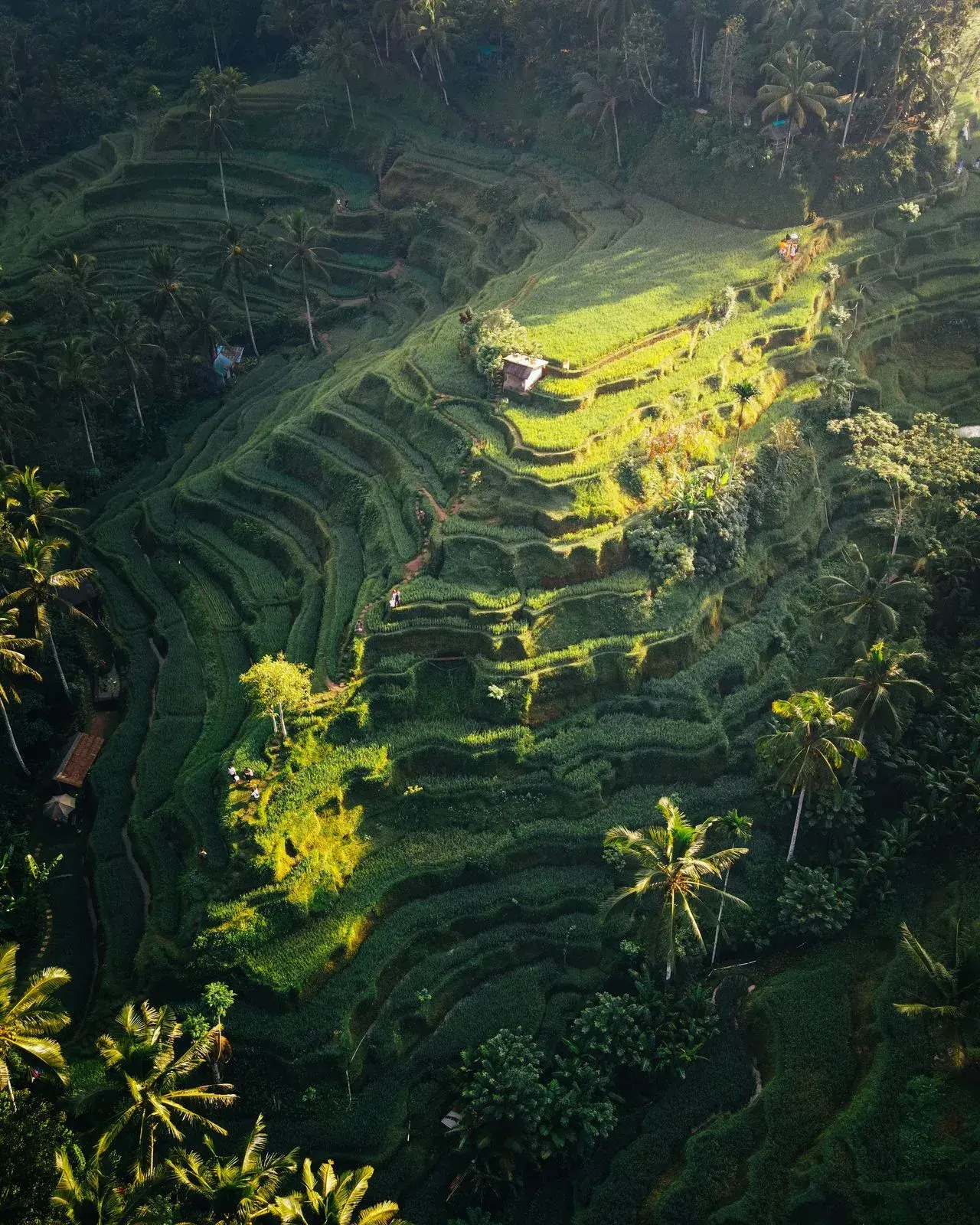 Adventure Rides and Nature Excursions